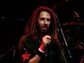 Rage against the machine - Beautiful World - Muscar titos Rage against the machine - Beautiful World