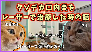 【猫ミーム】クソデカ口内炎が出来たので、歯医者で初めてレーザー治療してもらった時のお話 #猫ミーム