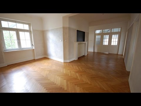 Repräsentative Altbau-Wohnung/Arbeiten in Biebrich