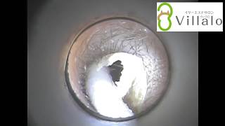 耳掃除動画vol.28「5年ぶりの耳掃除」