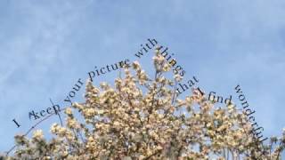 song lyrics (little tybee - golden delilah)