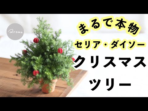 アマゾンがクリスマスツリーの販売に挑戦中