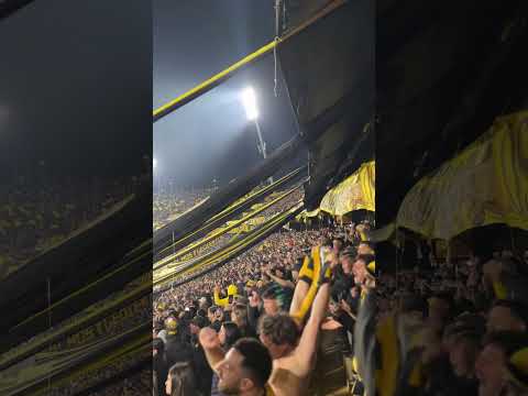 "CARBONERO OOOHHH...#Peñarol #CopaLibertadores #parati #hinchada #football #viral #foryoupage #gol" Barra: Barra Amsterdam &bull; Club: Peñarol