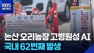 충남 논산에서 고병원성 조류인플루엔자…국내 62번째 / KBS  2026.04.10.