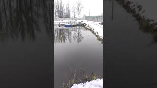 Платная рыбалка в переславле залесском