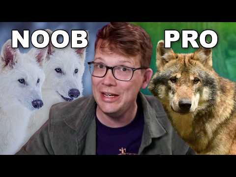 Everyone Ignored Colossal’s Bigger Wolf News