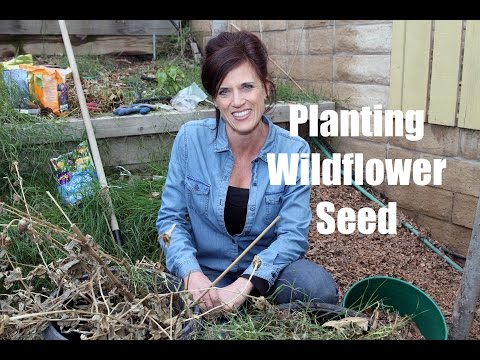 Care of the garden: Planting flower bowls individually - ideas for summer / autumn | 2025