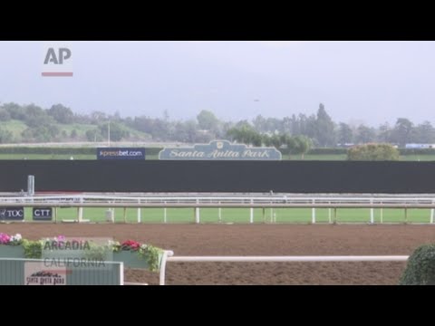 The California Horse Racing Board voted Thursday to severely limit the use of whips on horses in racing statewide following the deaths of 22 horses at the Santa Anita race track. (March 28)