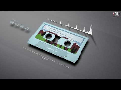 Pakhandi Babe (Official Audio) | Kulbir Jhinjer | Punjabi Songs 2019 | Vehli Janta Records