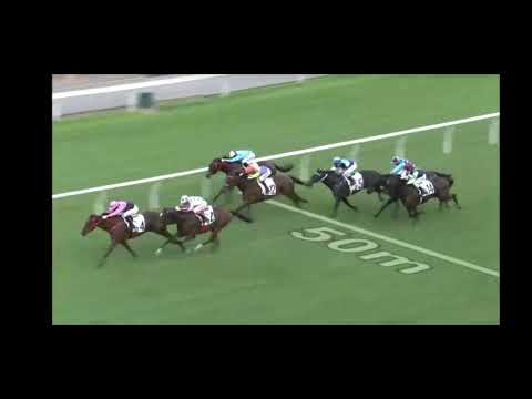 2021 07 04 沙田 第十場 莫雷拉 一定美麗