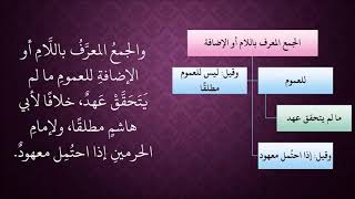 صورة الدرس 149   الجمع المعرّف والمفرد المحلى