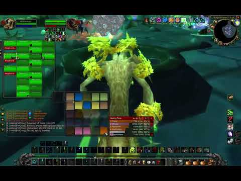Magtheridon's Lair Raid - Healer - Wow Classic TBC