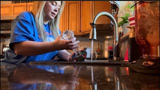 🦋WATCHING THE HUMMINGBIRDS | CHANGING FEEDERS🌷🌻