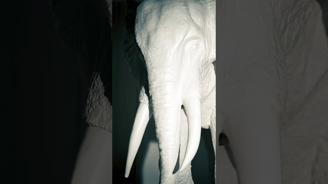 Addressing the elephant in the room