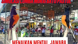 Download lagu SIMULASI LOMBA MURAI BATU PASTOL UNTUK MENAIKAN MENTAL JUARA #muraibatu #video #fyp #masteranburung mp3
