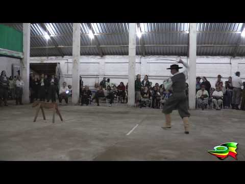 Prova da vaca parada - 31º Entrevero Cultural de Peões 2019