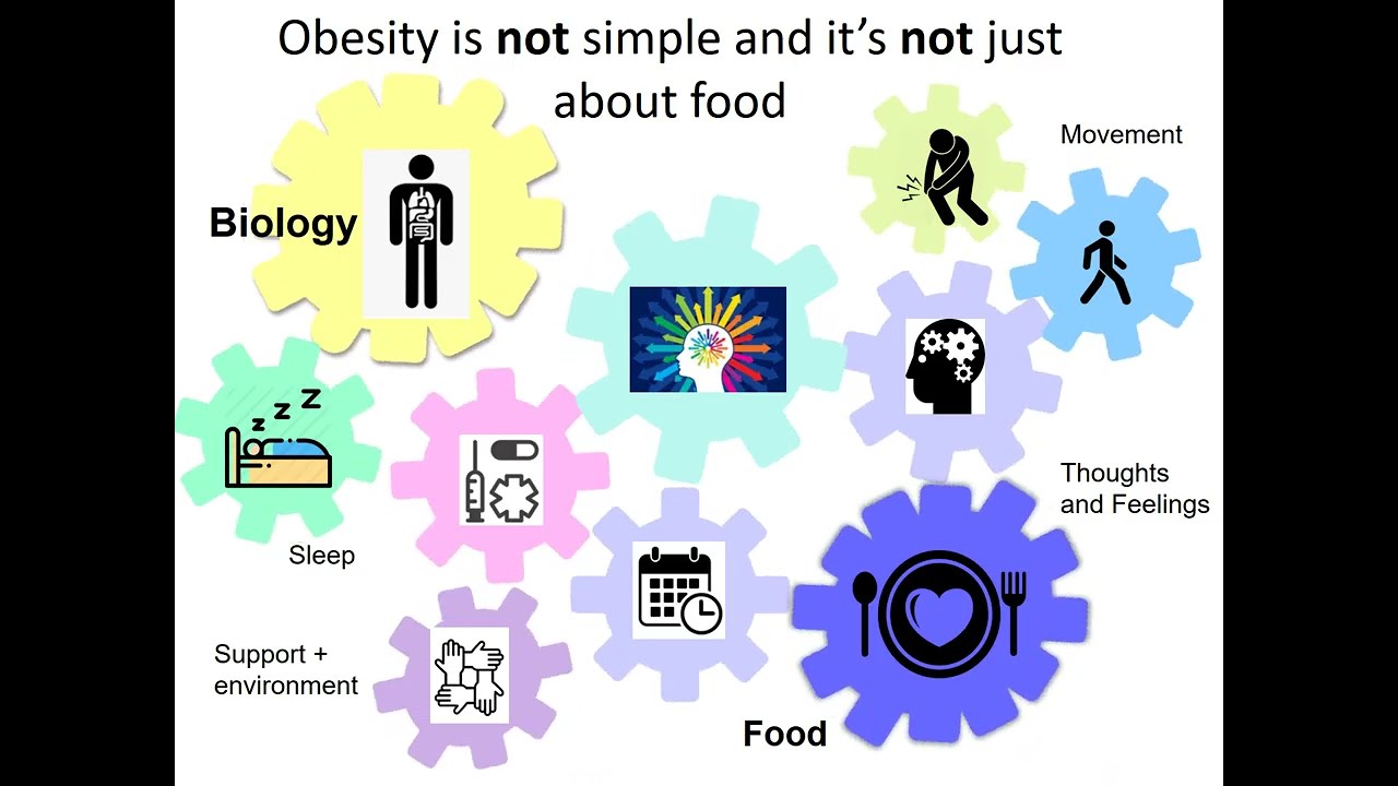 Dietitian Pre - Intake Talk