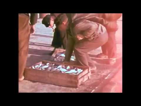 Mario Traversa - Ein kleines weißes Haus (1939)