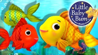 Numbers Song | Counting Fish | Nursery Rhymes | Original Song By LittleBabyBum!