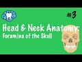 Head & Neck Anatomy | Foramina of the Skull | INBDE