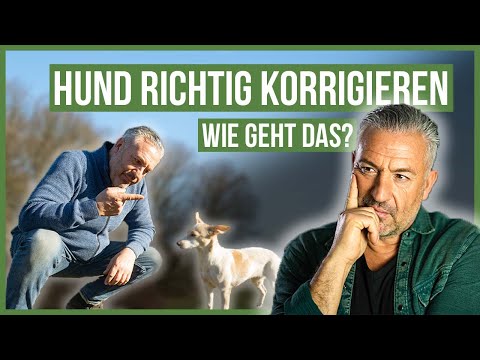 GRENZEN setzen? 😳 Diese TIPPS werden Dir dabei helfen!