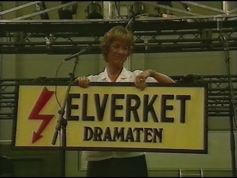 Rapport (SVT 2002-01-30)