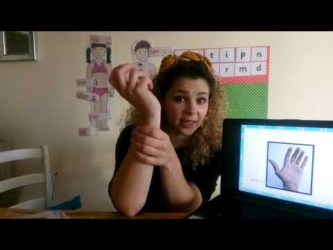 Y1 Ms. Ivana 6/04 Science (1/2)