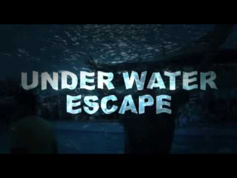Promotional video thumbnail 3 for Charles Bach Wonders - Magic Experiences
