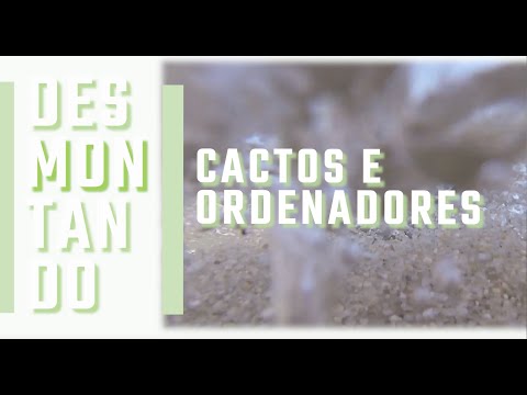 Vídeo: O cacto do ordenador, moita decoración e pouca ciencia