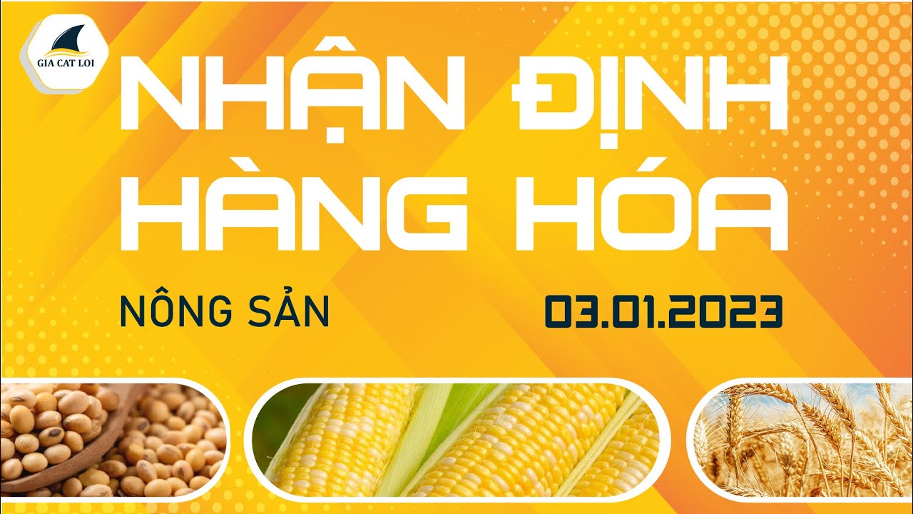 Nhận Định Hàng Hoá Nông Sản Ngày 03/01/2023