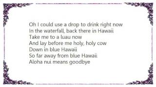 Brian Wilson - In Blue Hawaii Lyrics