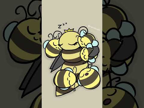 Bee snuggles #animation #bee #framebyframe