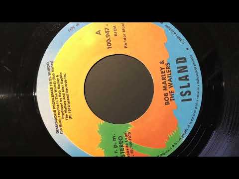 Bob Marley and the Wailers - So Much Trouble in the World / Instrumental