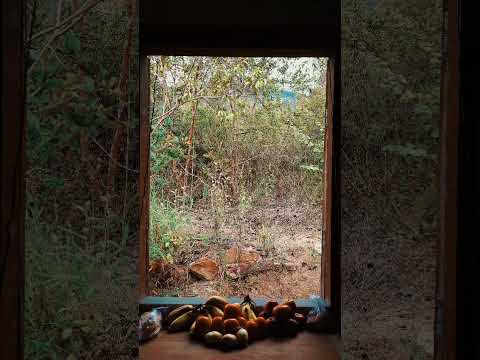 Vendo Chapada Diamantina, Piata BA,