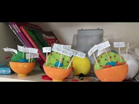 Vídeo Colegio Aldea De Mondrón