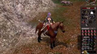 Metin2 Longjuy2 Falcon Shield to +9