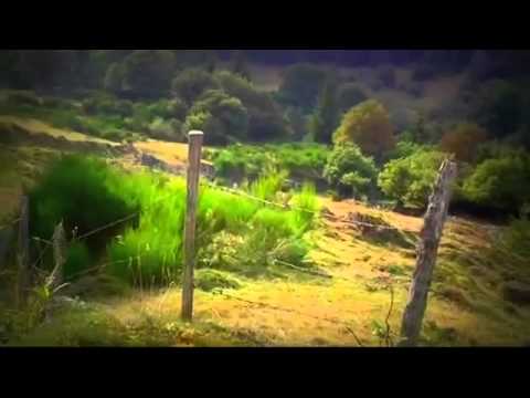 Pensiuni Baile Herculane - Cazat.ro