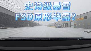 ❄️美国史诗级暴雪降临, 特斯拉FSD大趴窝？！