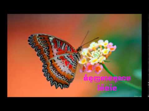 ទឹកភ្នែកនាងកូលាប​(ប៉ែនរ៉ន) Teuk Phek Neang Kolab(Pen Ron)