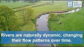 Fighting bank erosion with willow spiling