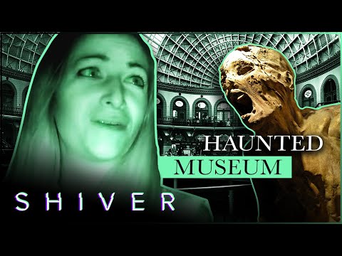 A Supernatural Night At The Museum