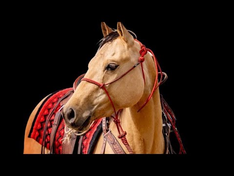 youtube preview