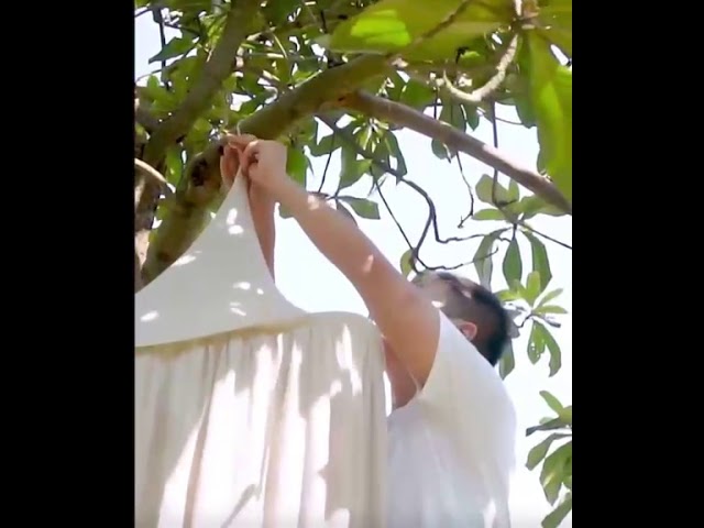 كرسي رحلات يحمل بالجيب