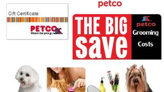 Petco Grooming Costs SAVE BIG On Petco Grooming Costs