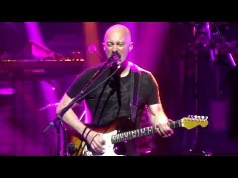 Brit Floyd Live 2023 🡆 Pigs (Three DIfferent Ones) 🡄 June 14 ⬘ Houston, TX ⬘ Bayou Music Center