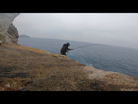 Lanseta Colmic Max Fight NX Bolo 5m 100g