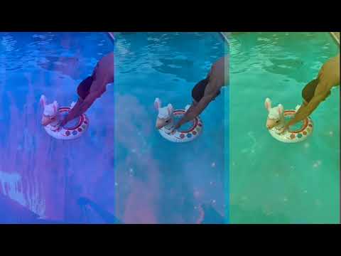 Luke Sweeney - SUM'R NIGHTS (official music video)