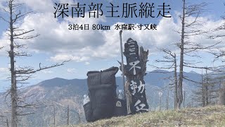 【hikelog】深南部主脈縦走 - ハンモックハイキングで3泊4日