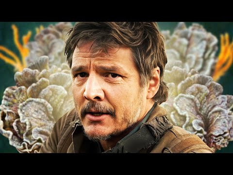 Could a Real-Life THE LAST OF US Outbreak Ever Happen?