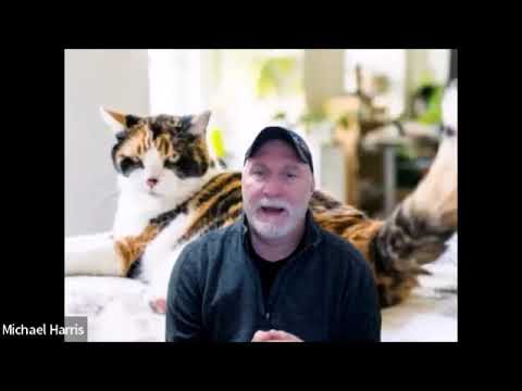 DrMichaelHarris video.